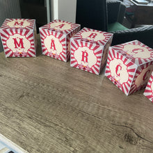 Charger l'image dans la galerie, THÈME CIRQUE