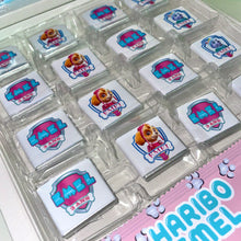 Charger l'image dans la galerie, THÈME PAT PATROUILLE GIRLY