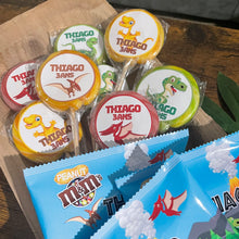 Charger l'image dans la galerie, THÈME DINOSAURES