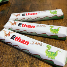 Charger l'image dans la galerie, THÈME DINOSAURES